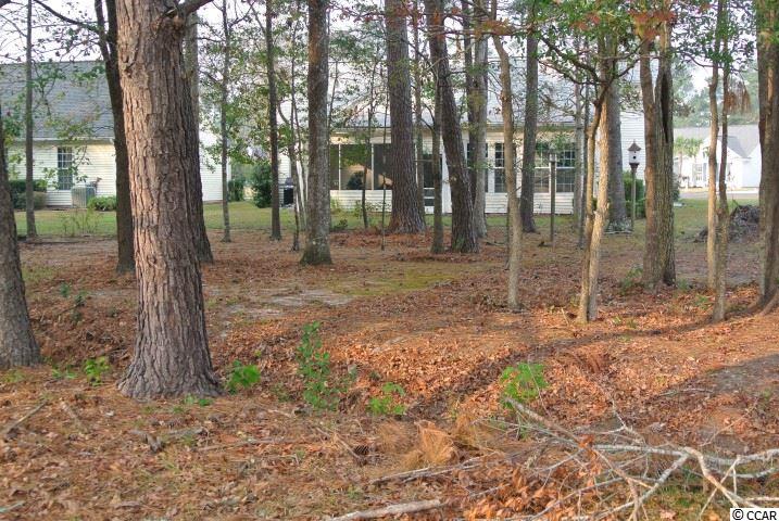 1503 Medinah Lane Murrells Inlet, SC 29576 - Photo 5 of 25 Gallery Image 5