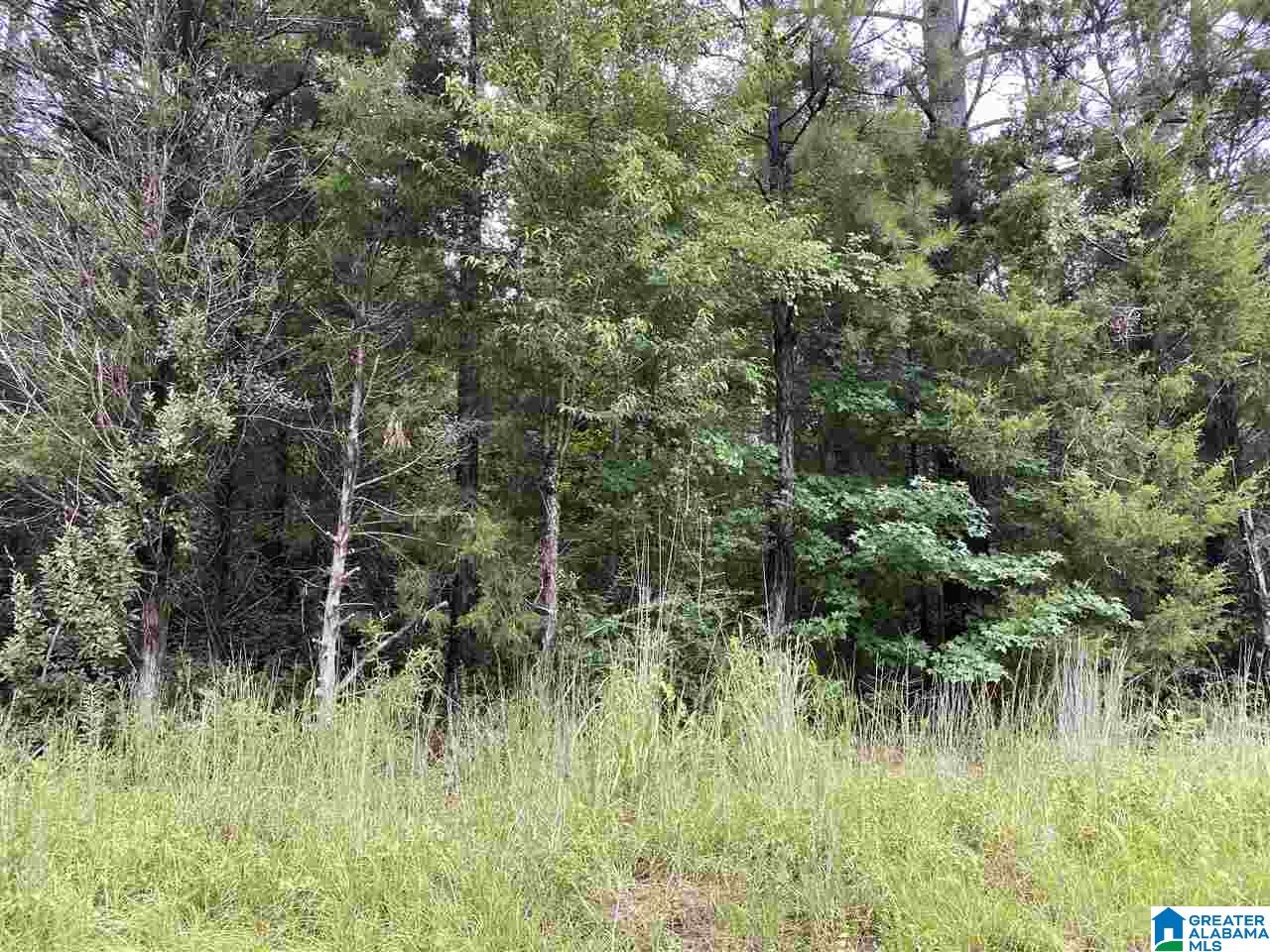 0 County Road 480, Unit 1 Verbena, AL 36091 - Photo 1 of 1