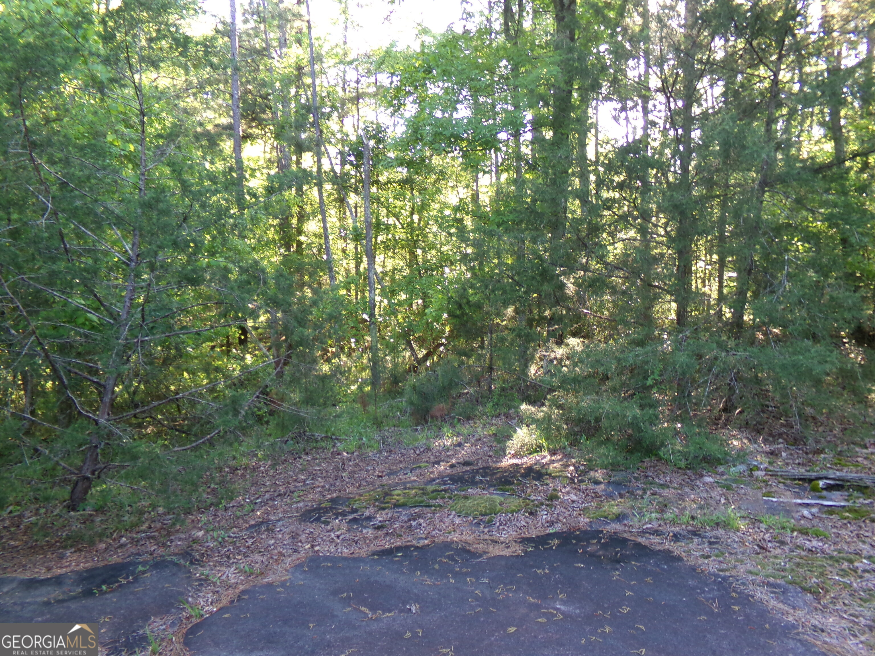 3905 Highway 138 Covington, GA 30014 - Photo 20 of 40
