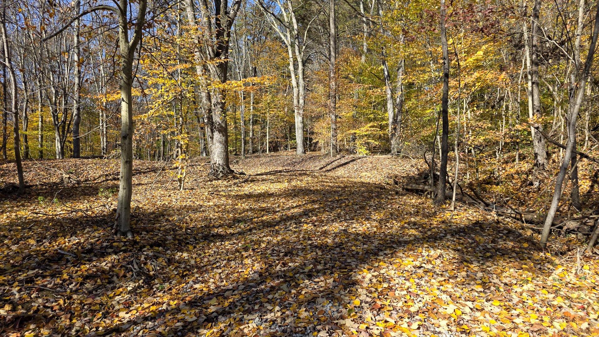 908 Nibert Road, Unit PONDS POPLAR RIDGE TRACT 2) Gallipolis, OH 45631 - Photo 25 of 25 CT-25