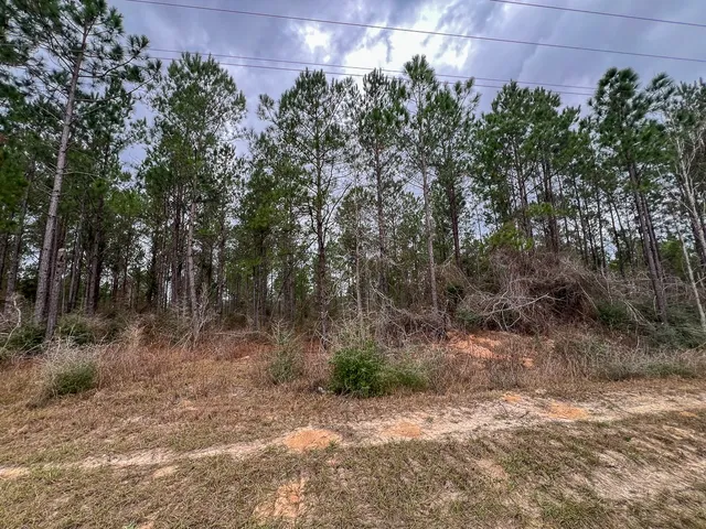 $104,000 | 1012 Newton Tx 75966, Newton, TX 75966