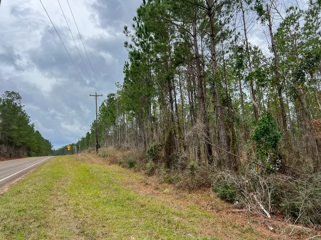 a view of backyard with green space