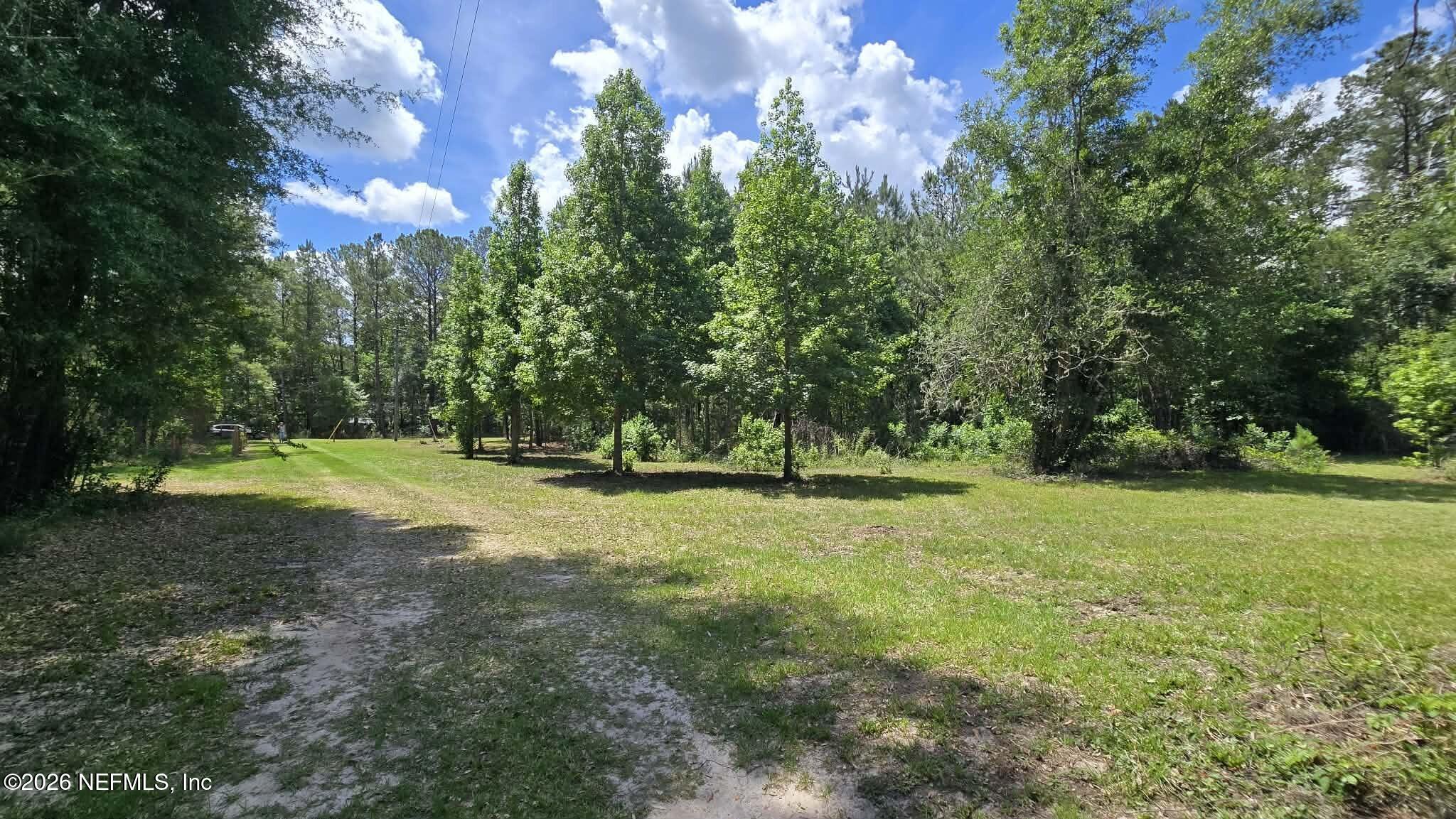 3923 Skipper Road Middleburg, FL 32068 - Photo 3 of 25 a view of a tree in a yard
