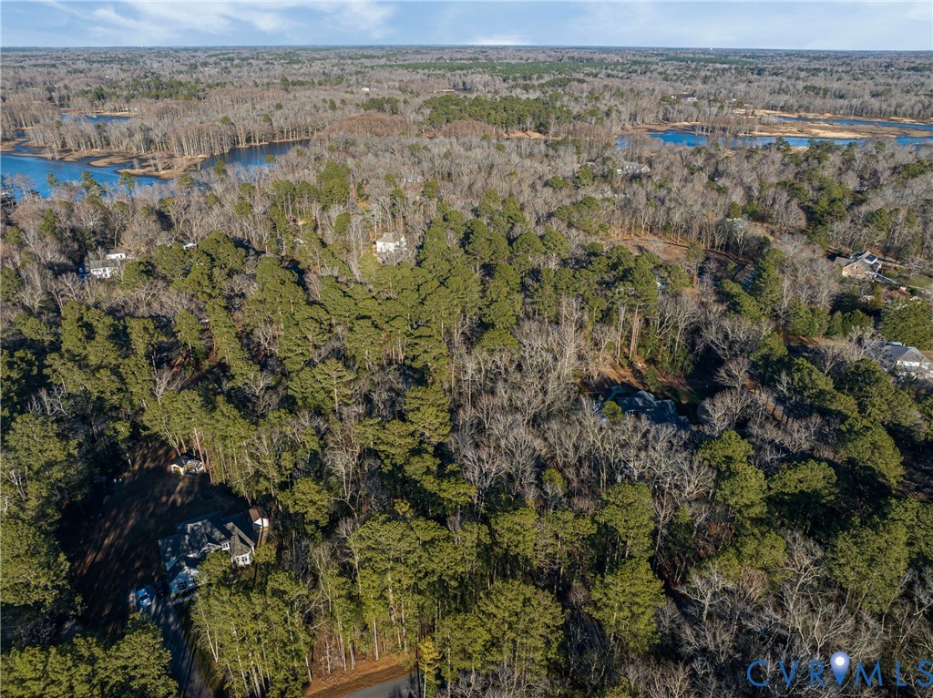 0 Two 2 Rivers Trail Lanexa, VA 23089 - Photo 4 of 19 Aerial View | Spacious Lot with Natural Privacy