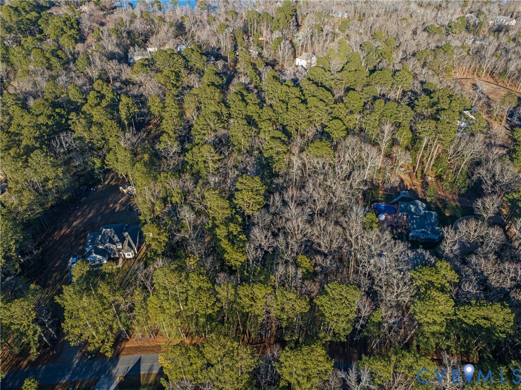 0 Two 2 Rivers Trail Lanexa, VA 23089 - Photo 5 of 19 Aerial View | Beautiful Tree Coverage Throughout