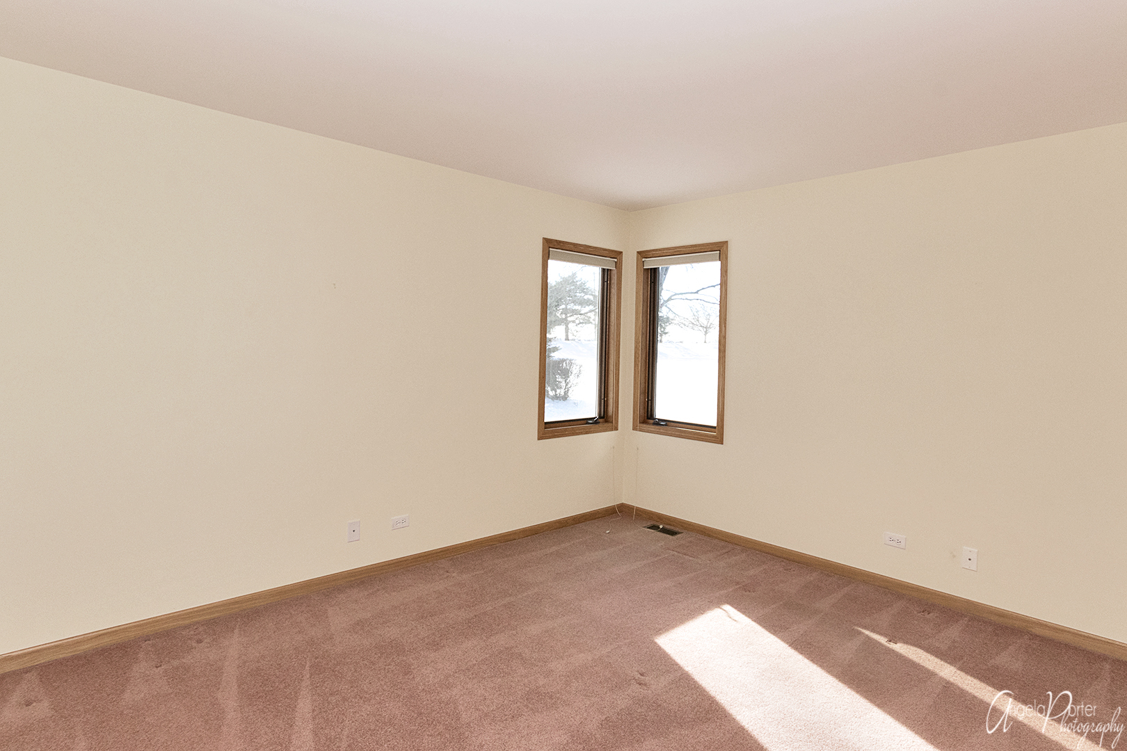 1409 Elm Street Spring Grove, IL 60081 - Photo 18 of 28 an empty room with windows