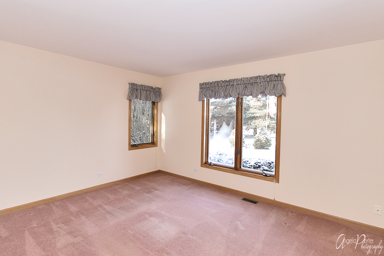 1409 Elm Street Spring Grove, IL 60081 - Photo 19 of 28 an empty room with windows and closet