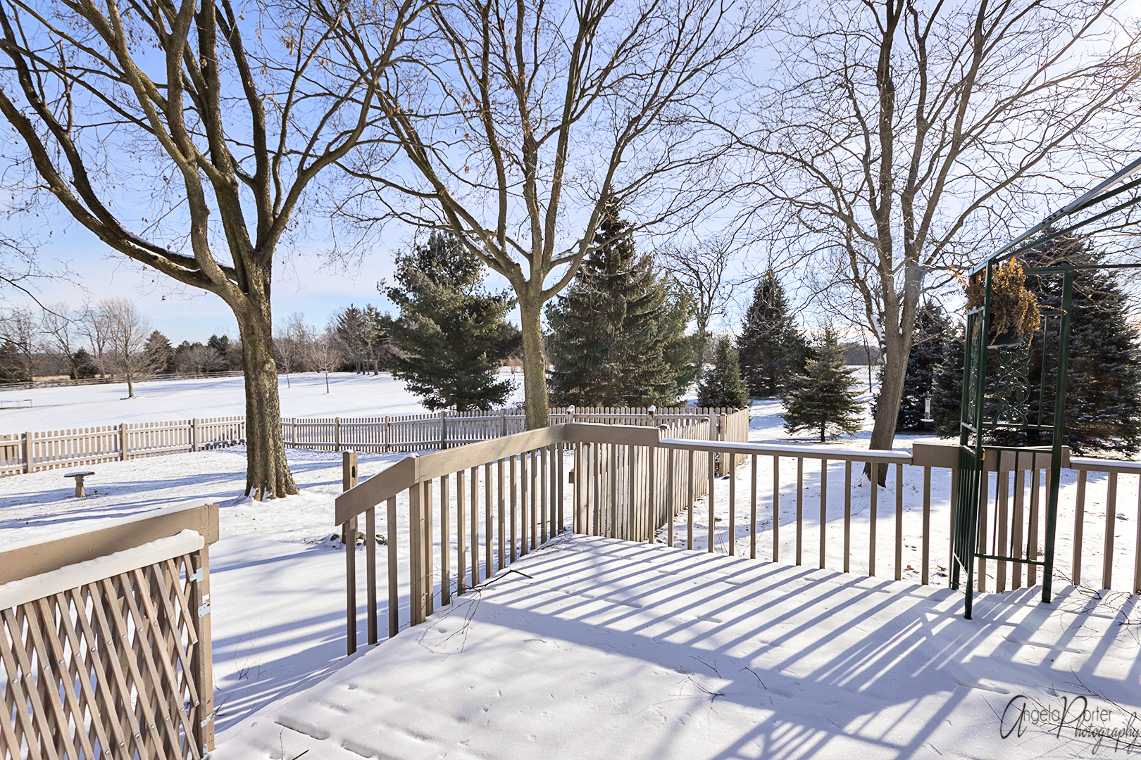 1409 Elm Street Spring Grove, IL 60081 - Photo 24 of 28 a view of a wooden deck with a trees