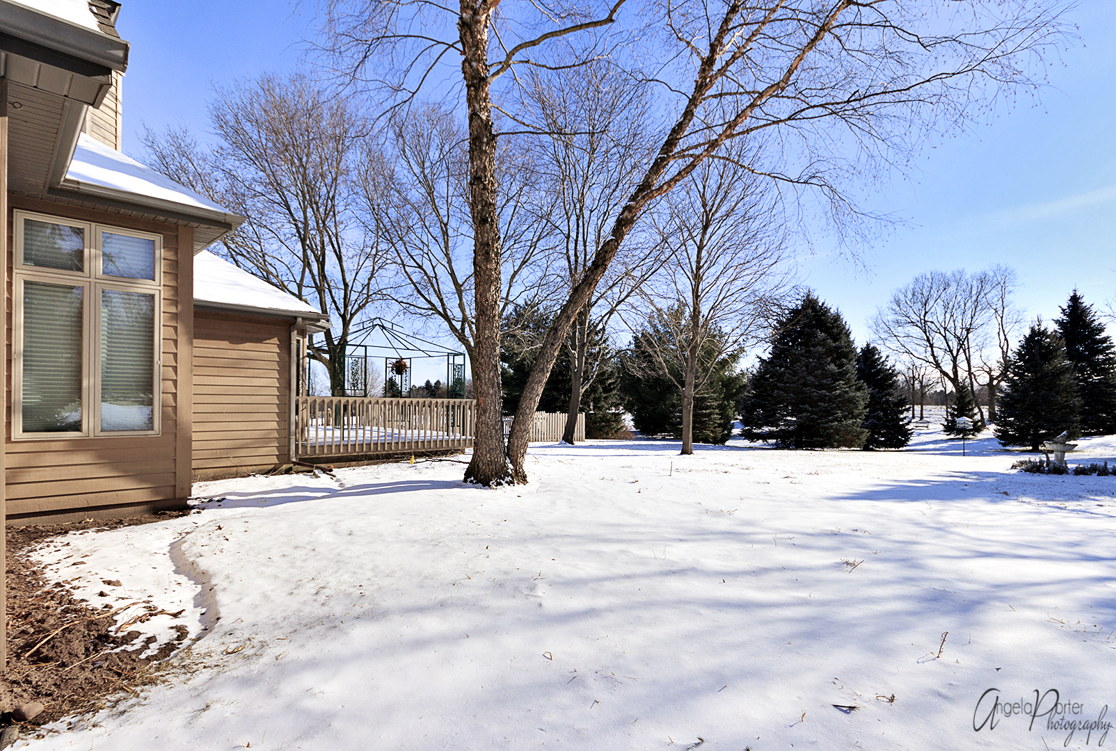 1409 Elm Street Spring Grove, IL 60081 - Photo 25 of 28 a view of snow on the side of the road