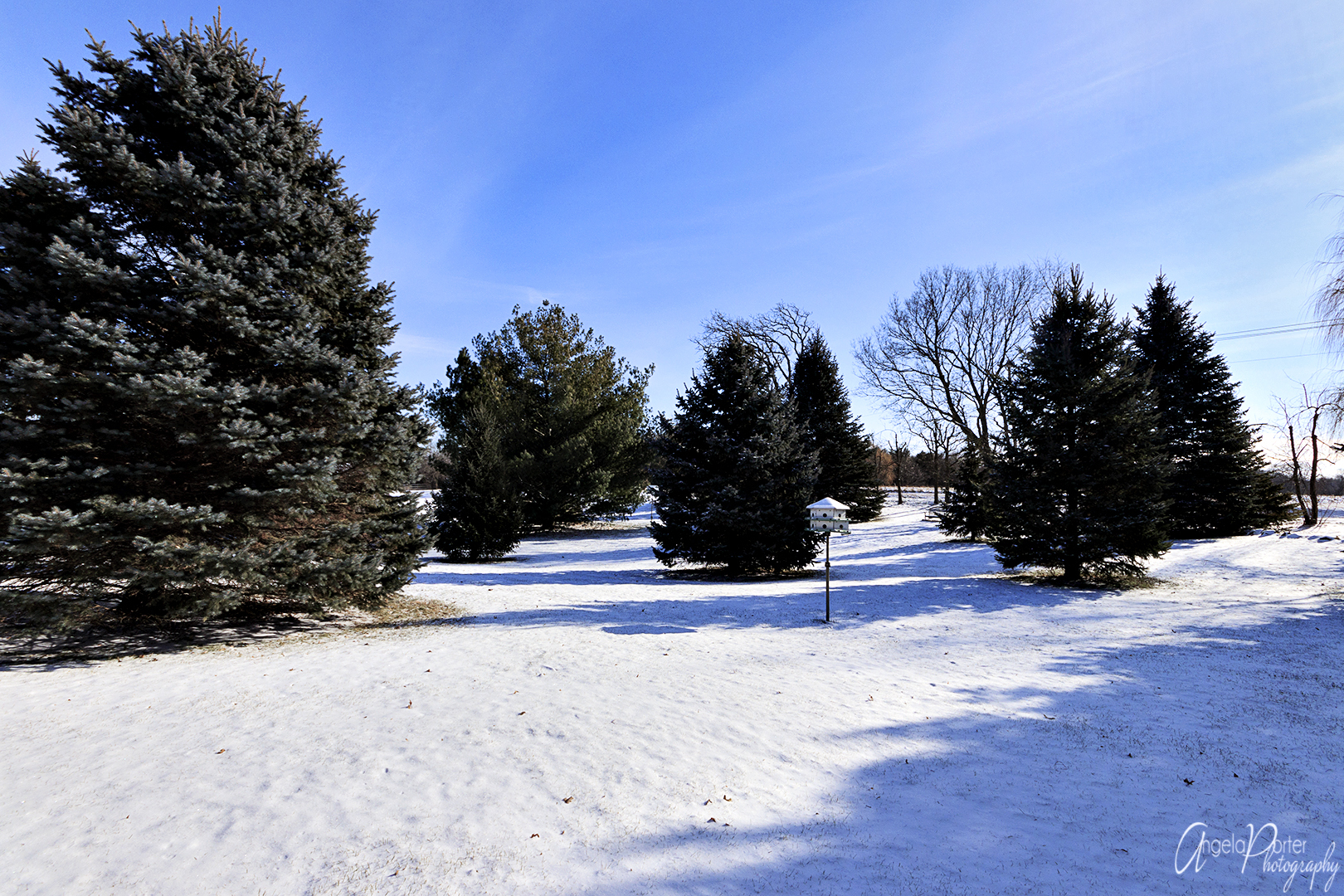 1409 Elm Street Spring Grove, IL 60081 - Photo 28 of 28 a view of road and trees