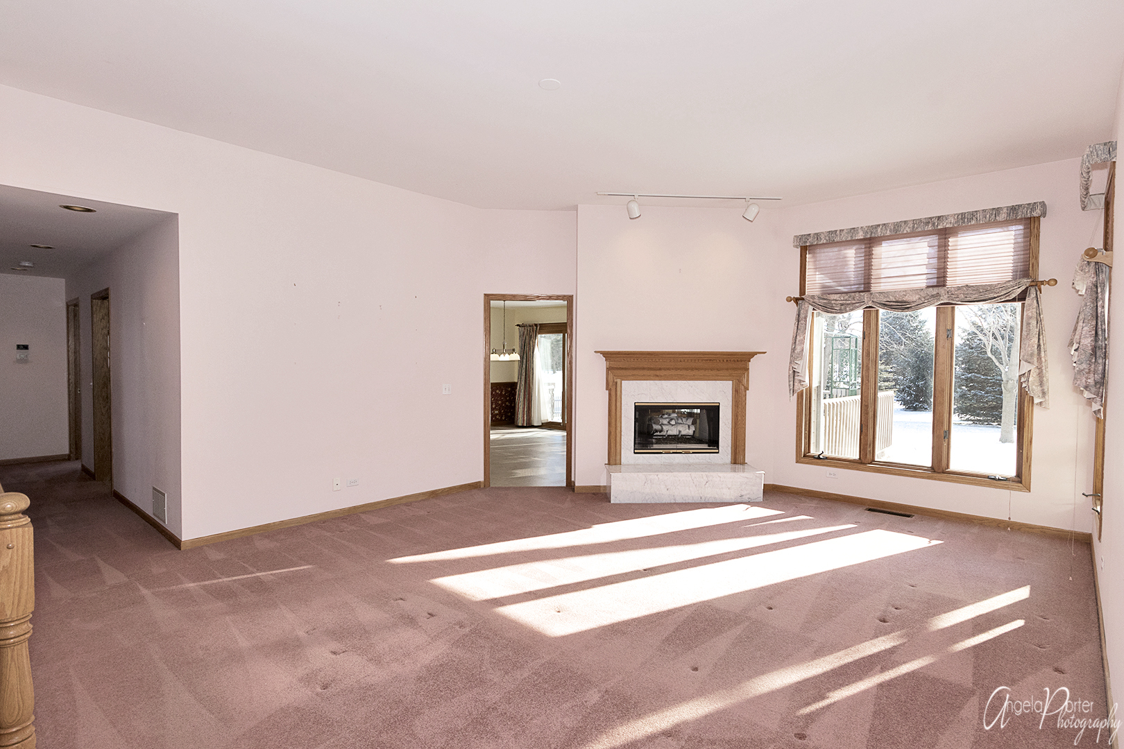 1409 Elm Street Spring Grove, IL 60081 - Photo 4 of 28 a view of an empty room with a fireplace and a window