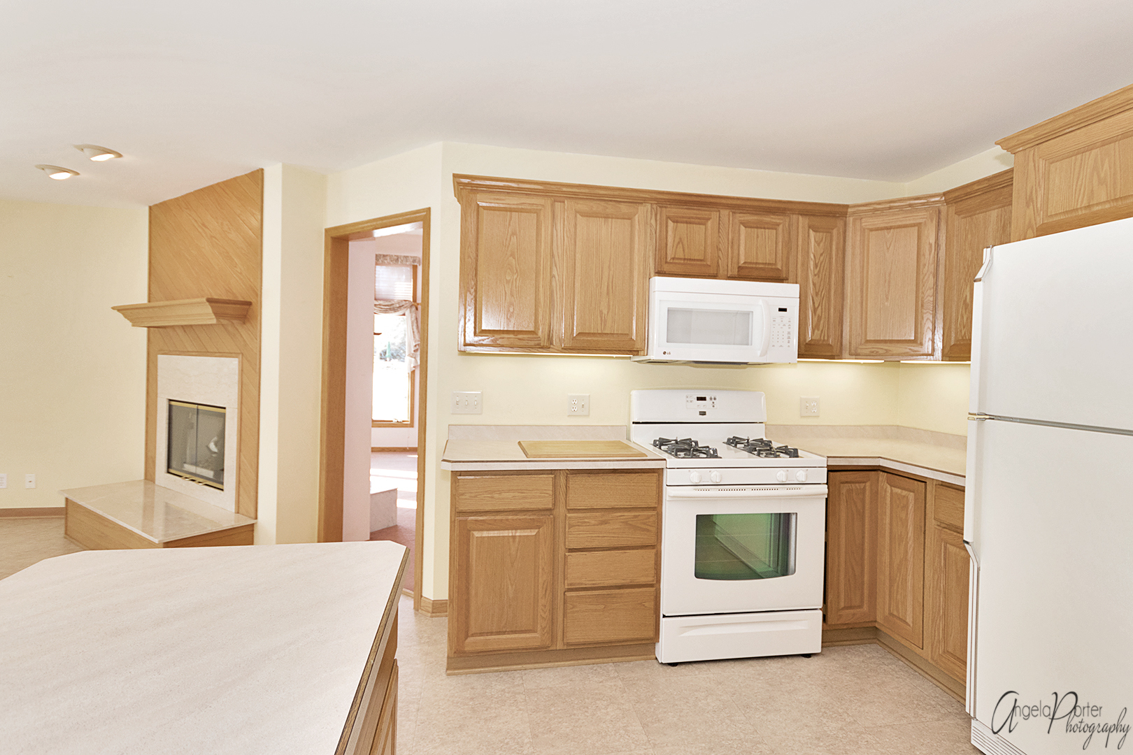 1409 Elm Street Spring Grove, IL 60081 - Photo 9 of 28 a kitchen with stainless steel appliances granite countertop a stove a refrigerator and a stove