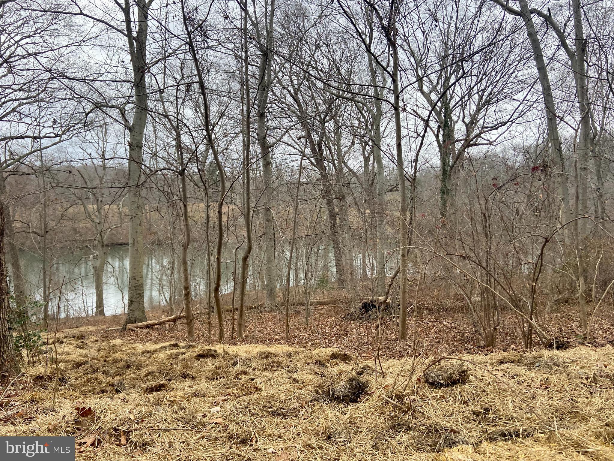 1234 Lake Falls Road Baltimore, MD 21210 - Photo 29 of 33 Lake Roland Pk, Accesible from Lake Falls Rd