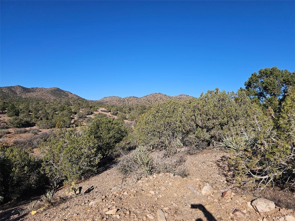 0 Austin Loop Kingman, AZ 86411 - Photo 1 of 7 a view of a mountain range with trees in the background