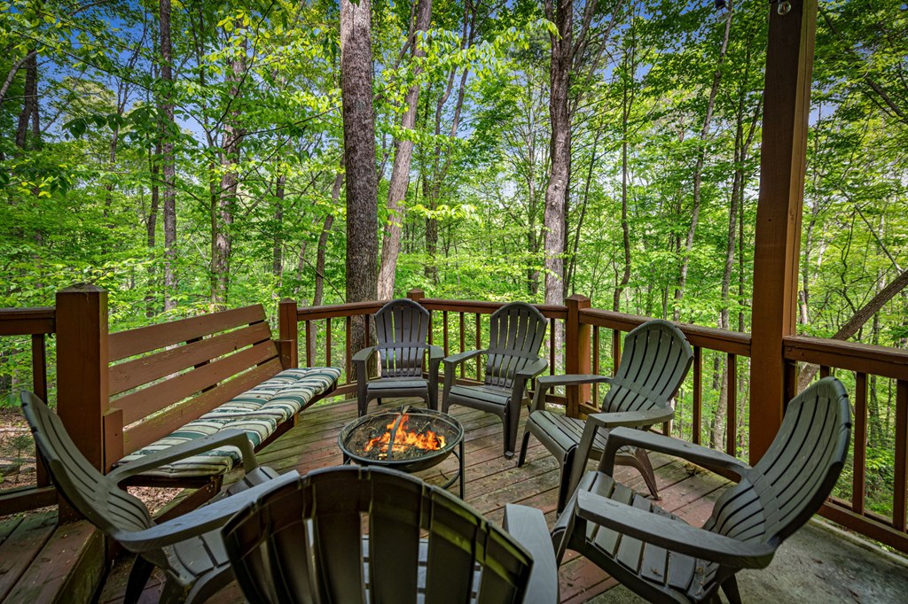 88 Indian Rock Ridge Blue Ridge, GA 30513 - Photo 41 of 54 Gallery Image 41