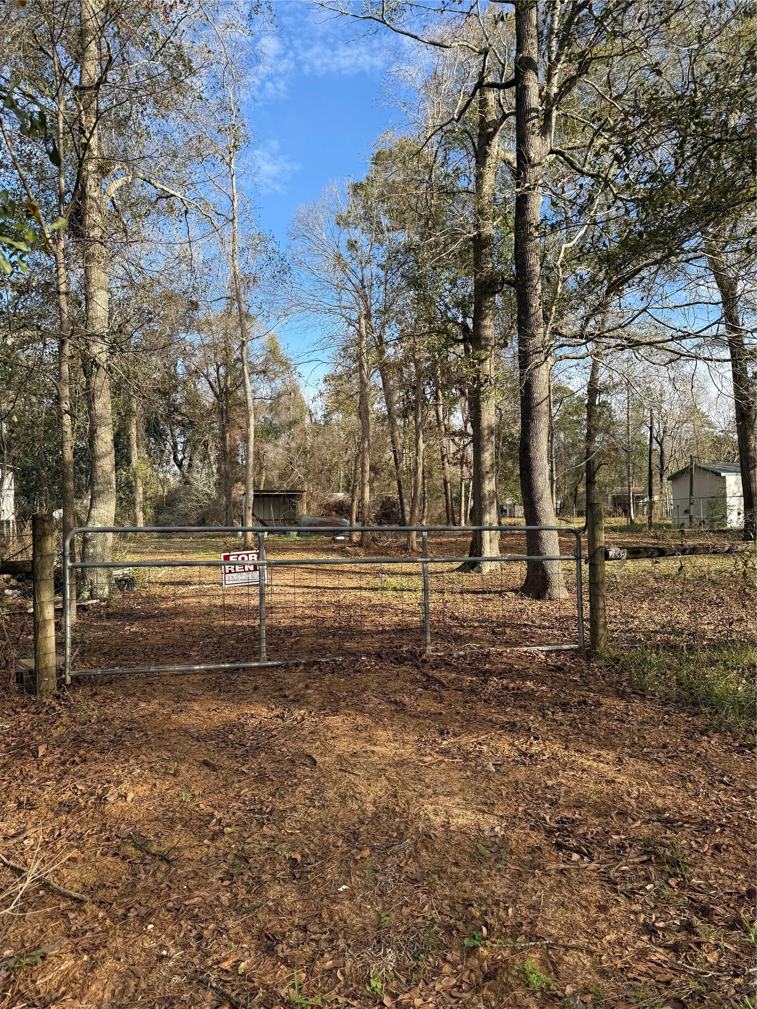 26451 Coleman Drive Splendora, TX 77372 - Photo 3 of 11 a view of a park