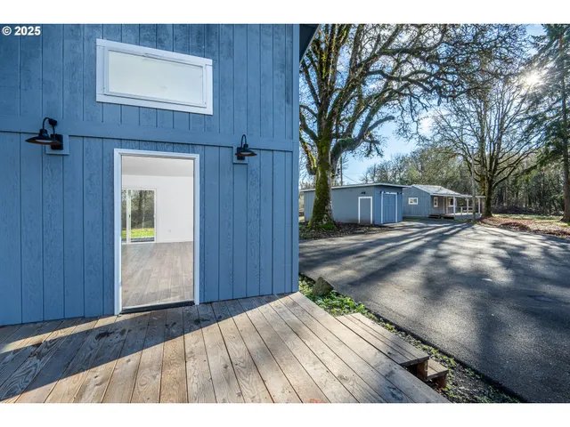 a view of a park with large trees