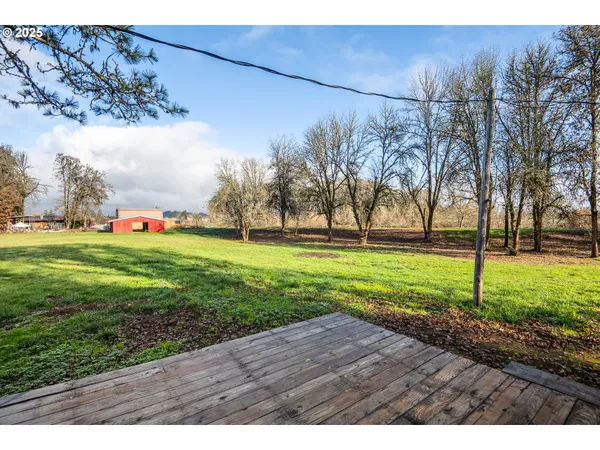 a view of outdoor space yard and patio