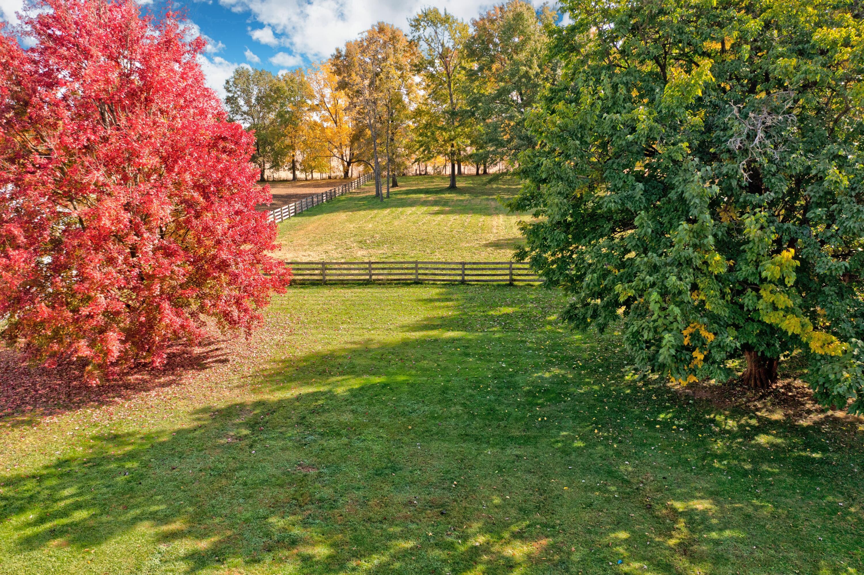 6681 Harlem Road Westerville, OH 43082 - Photo 68 of 78 53. View of Yard & Pasture