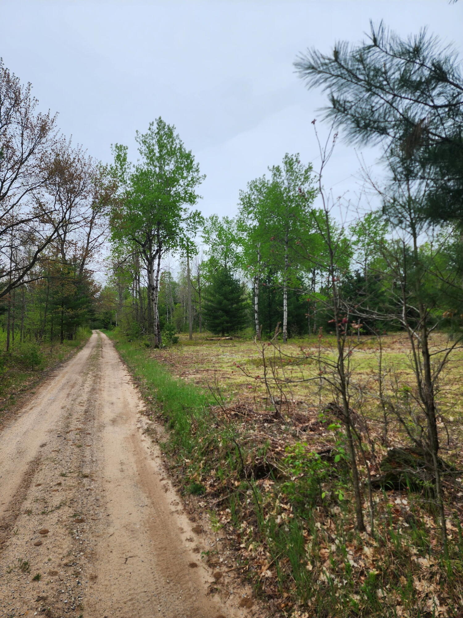 0 Hall Creek Road Interlochen, MI 49643 - Photo 11 of 14 20260524_095029