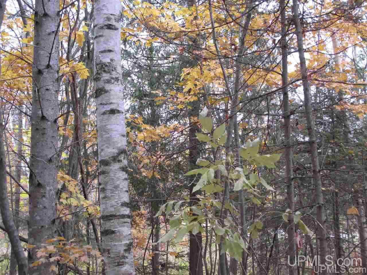 No # East No Road Grand Marais, MI 49839 - Photo 4 of 12