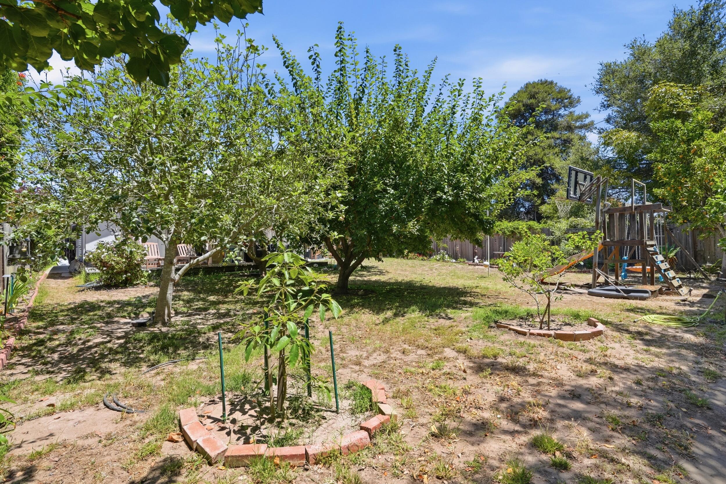 2505 Murrell Road Santa Barbara, CA 93109 - Photo 37 of 43 IMG_7315