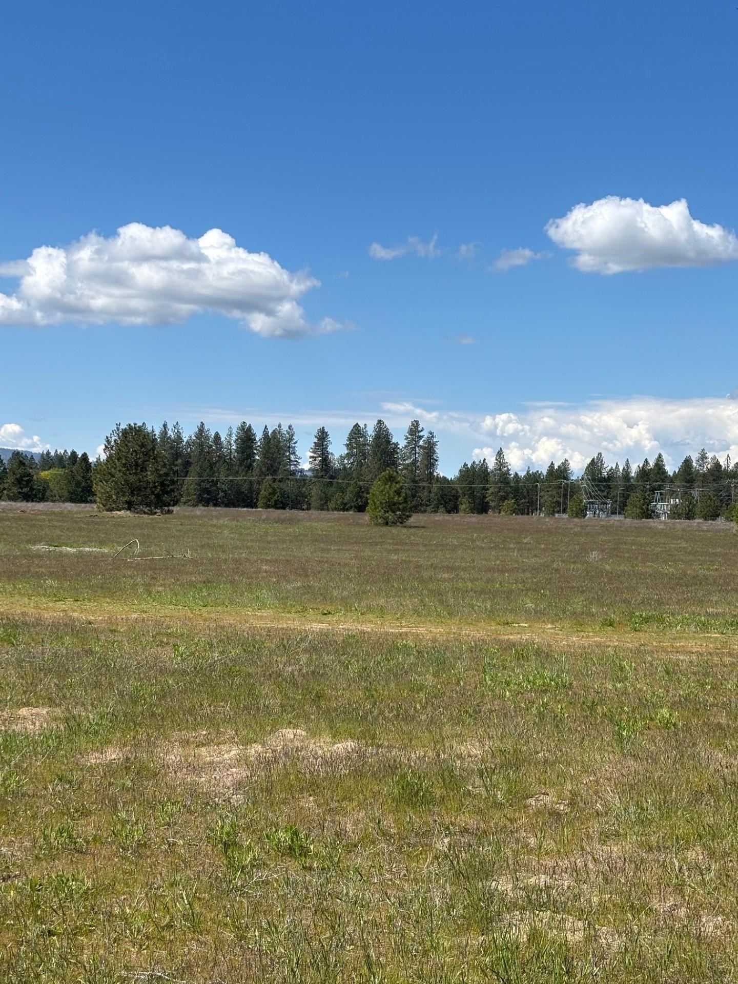 0 North Yale Road Colbert, WA 99005 - Photo 20 of 29