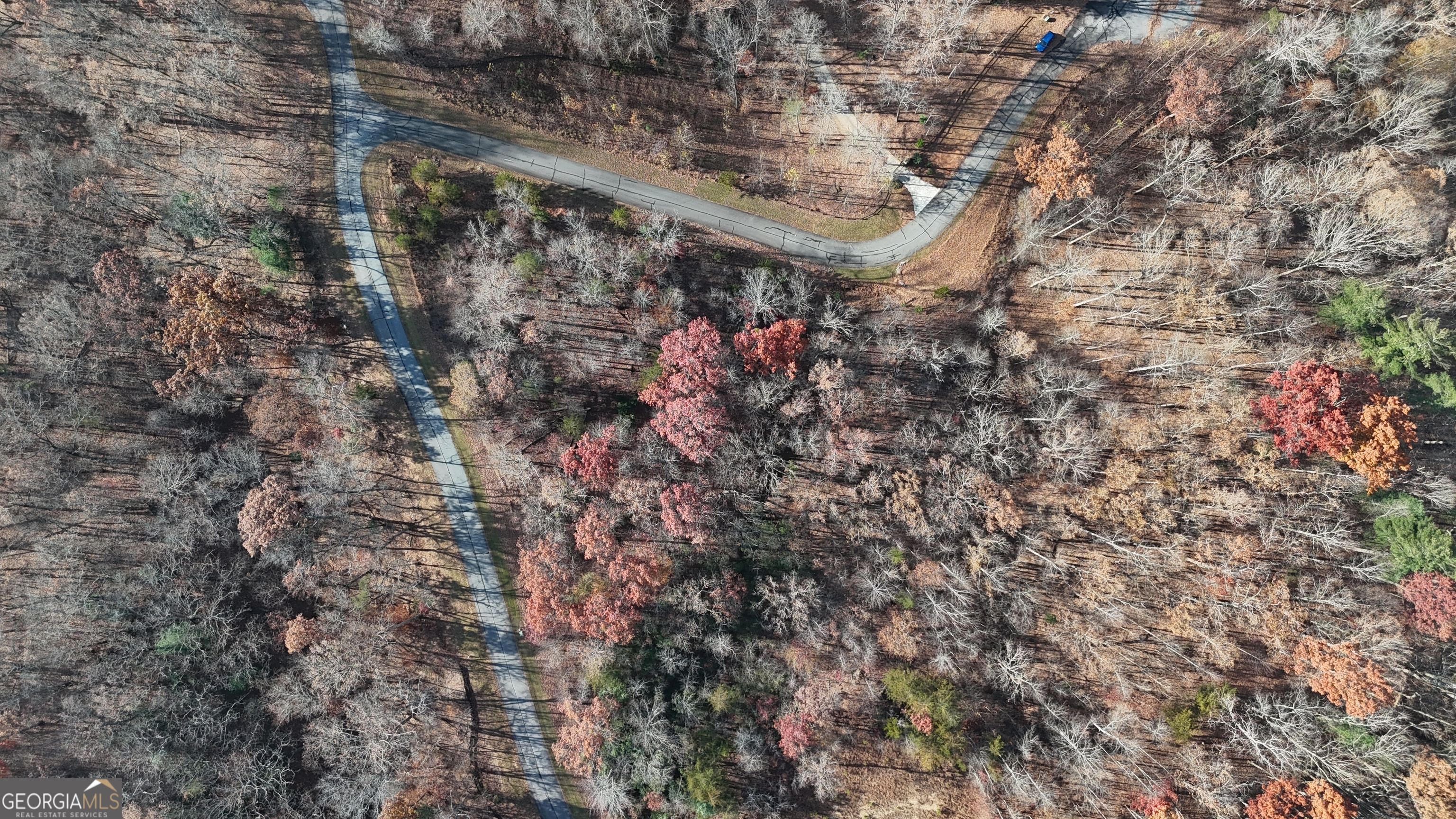 Lot 196 Springwinds Drive Cleveland, GA 30528 - Photo 5 of 5