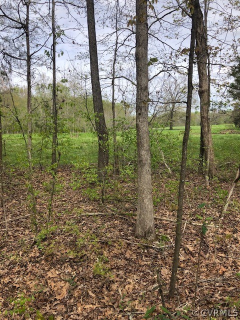 11346 Doyle Road Dewitt, VA 23840 - Photo 2 of 7 a view of a garden with trees
