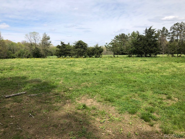 11346 Doyle Road Dewitt, VA 23840 - Photo 3 of 7 a view of a green field with wooden fence