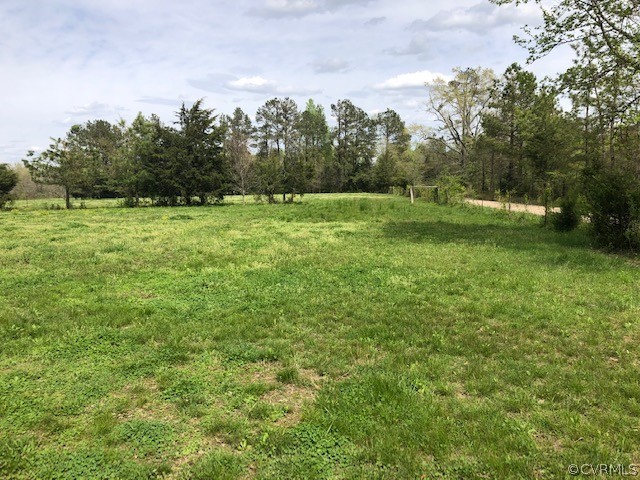11346 Doyle Road Dewitt, VA 23840 - Photo 4 of 7 a view of a field with trees in the background