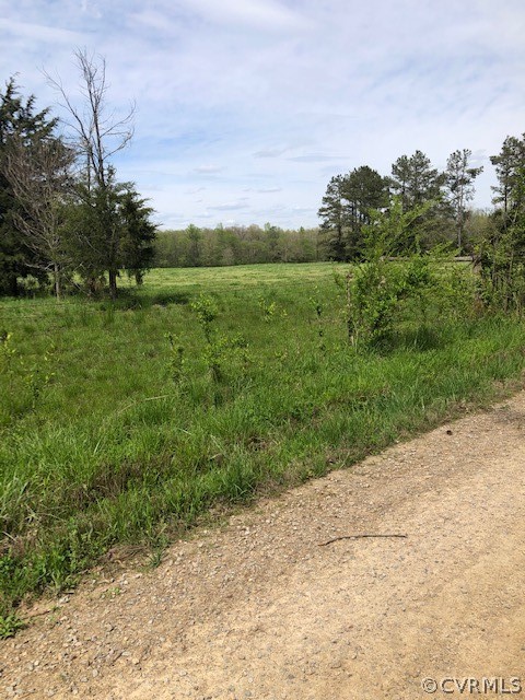 11346 Doyle Road Dewitt, VA 23840 - Photo 5 of 7 a view of a field with trees in background