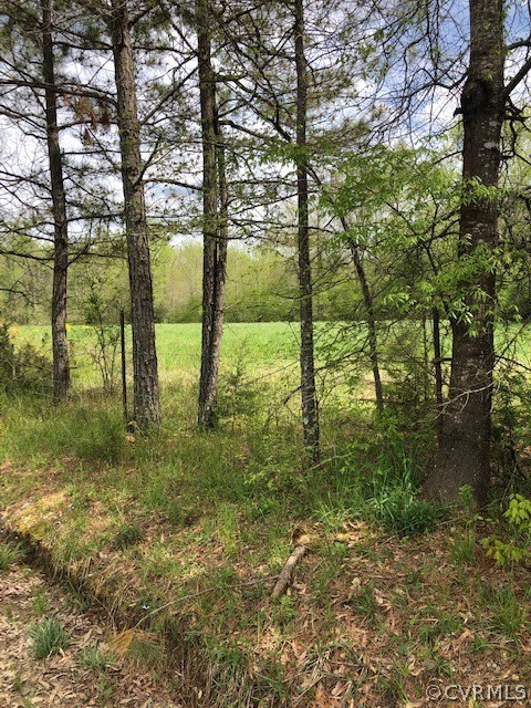 11346 Doyle Road Dewitt, VA 23840 - Photo 6 of 7 a view of yard