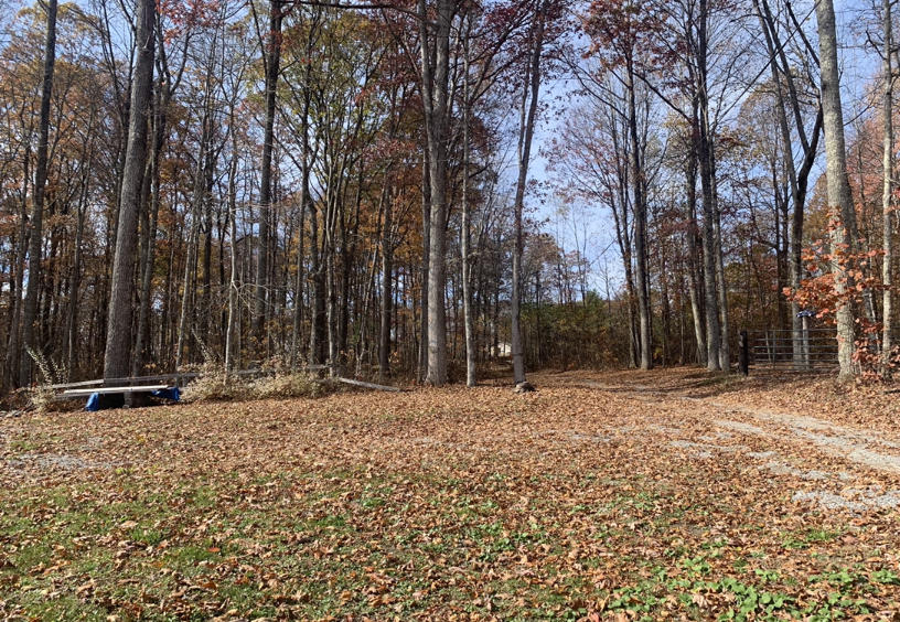 2964 Cardinal Road Coeburn, VA 24230 - Photo 18 of 20 97A9E1CE-FB3B-49A3-9D28-80FB85DD27F4