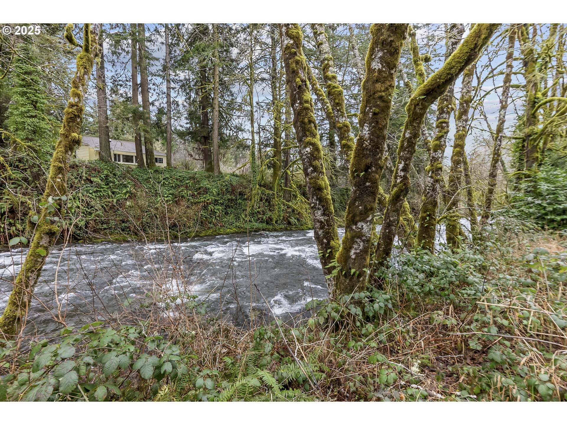0 North Slick Rock Creek Road, Unit 400 Otis, OR 97368 - Photo 11 of 20