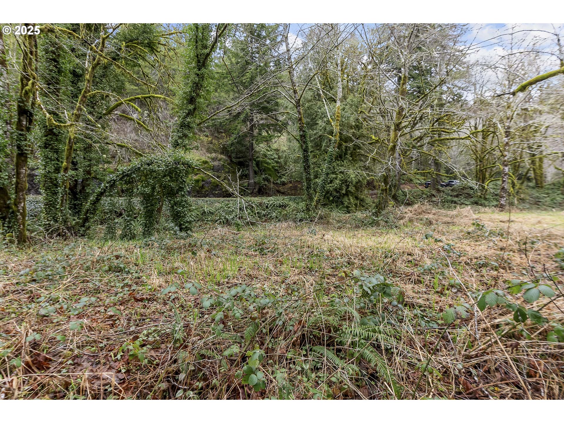 0 North Slick Rock Creek Road, Unit 400 Otis, OR 97368 - Photo 13 of 20