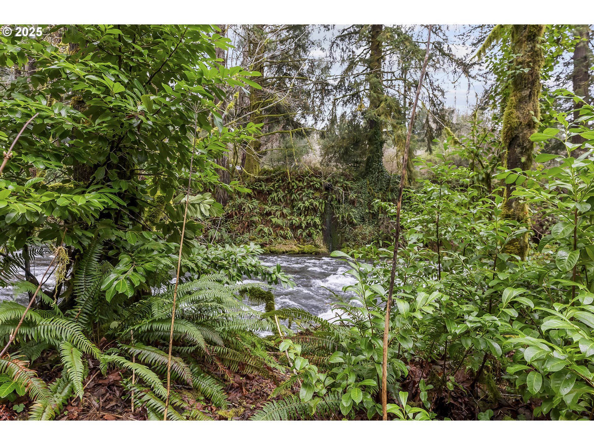 0 North Slick Rock Creek Road, Unit 400 Otis, OR 97368 - Photo 14 of 20