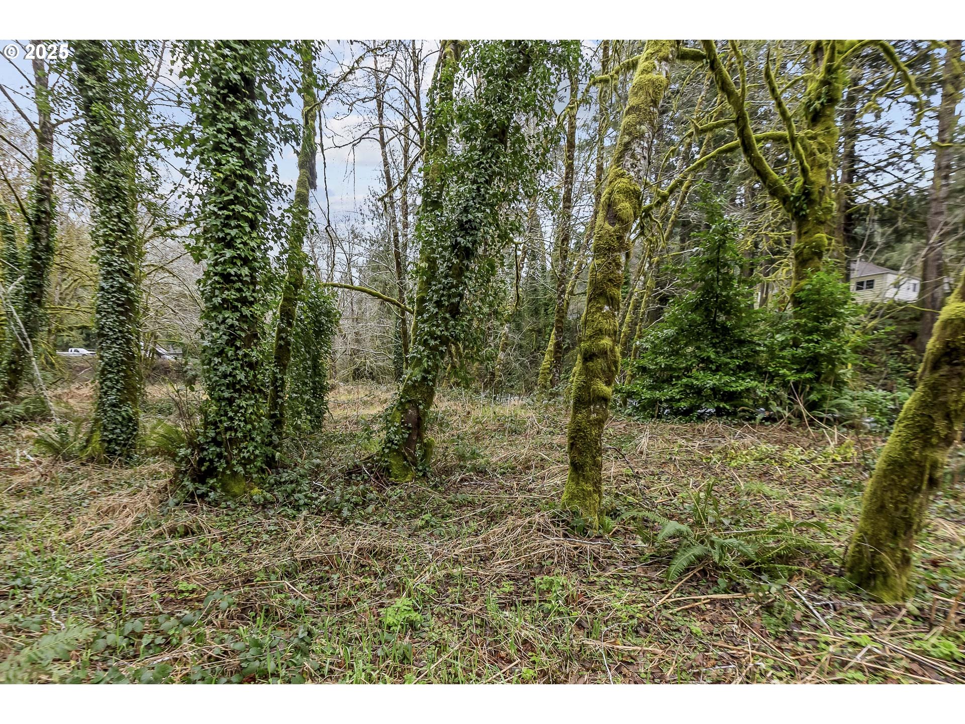 0 North Slick Rock Creek Road, Unit 400 Otis, OR 97368 - Photo 16 of 20