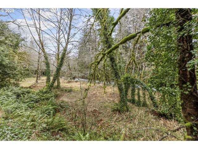 $39,900 | 0 North Slick Rock Creek Road, Unit 400, Otis, OR 97368