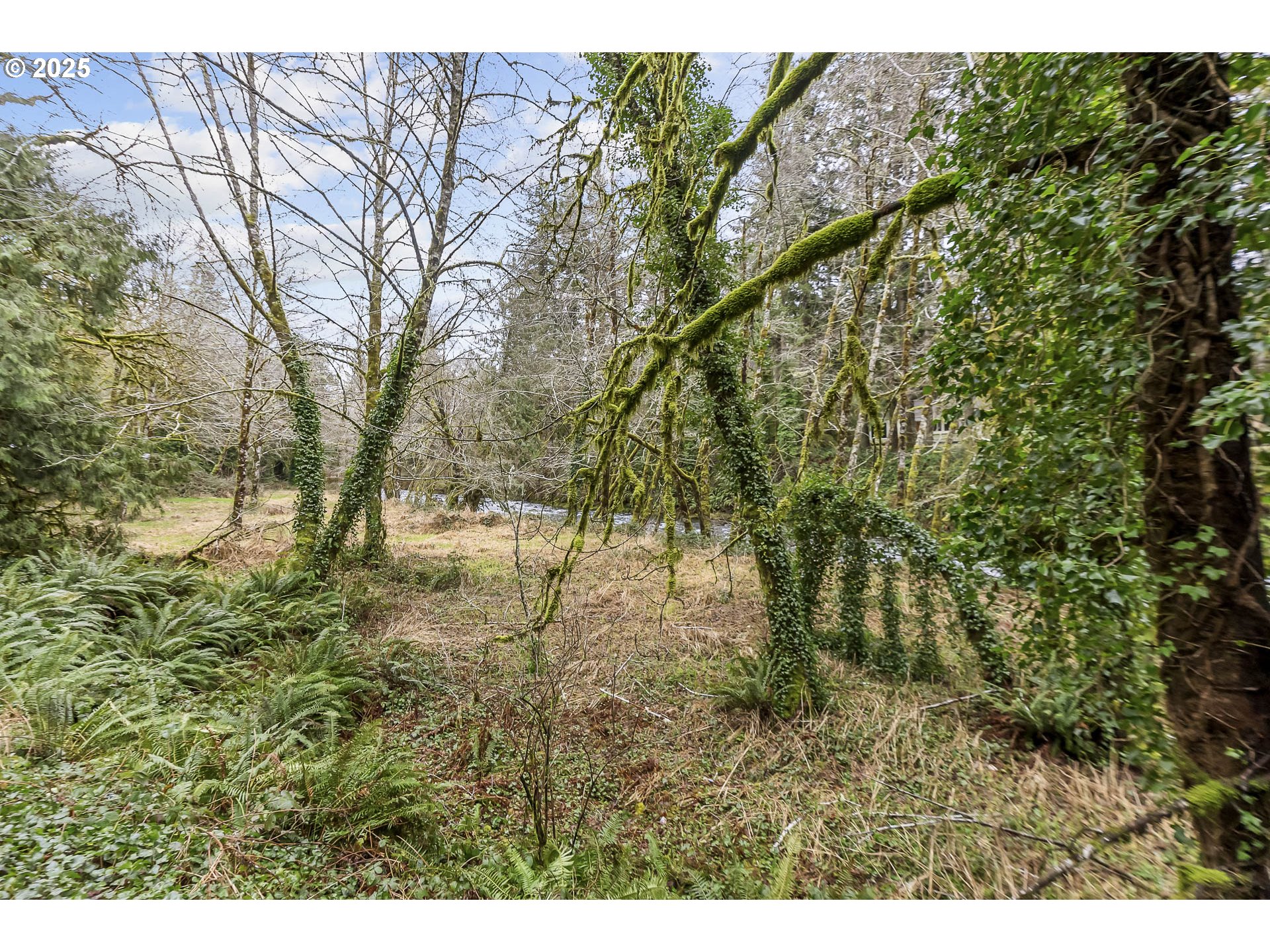 0 North Slick Rock Creek Road, Unit 400 Otis, OR 97368 - Photo 17 of 20