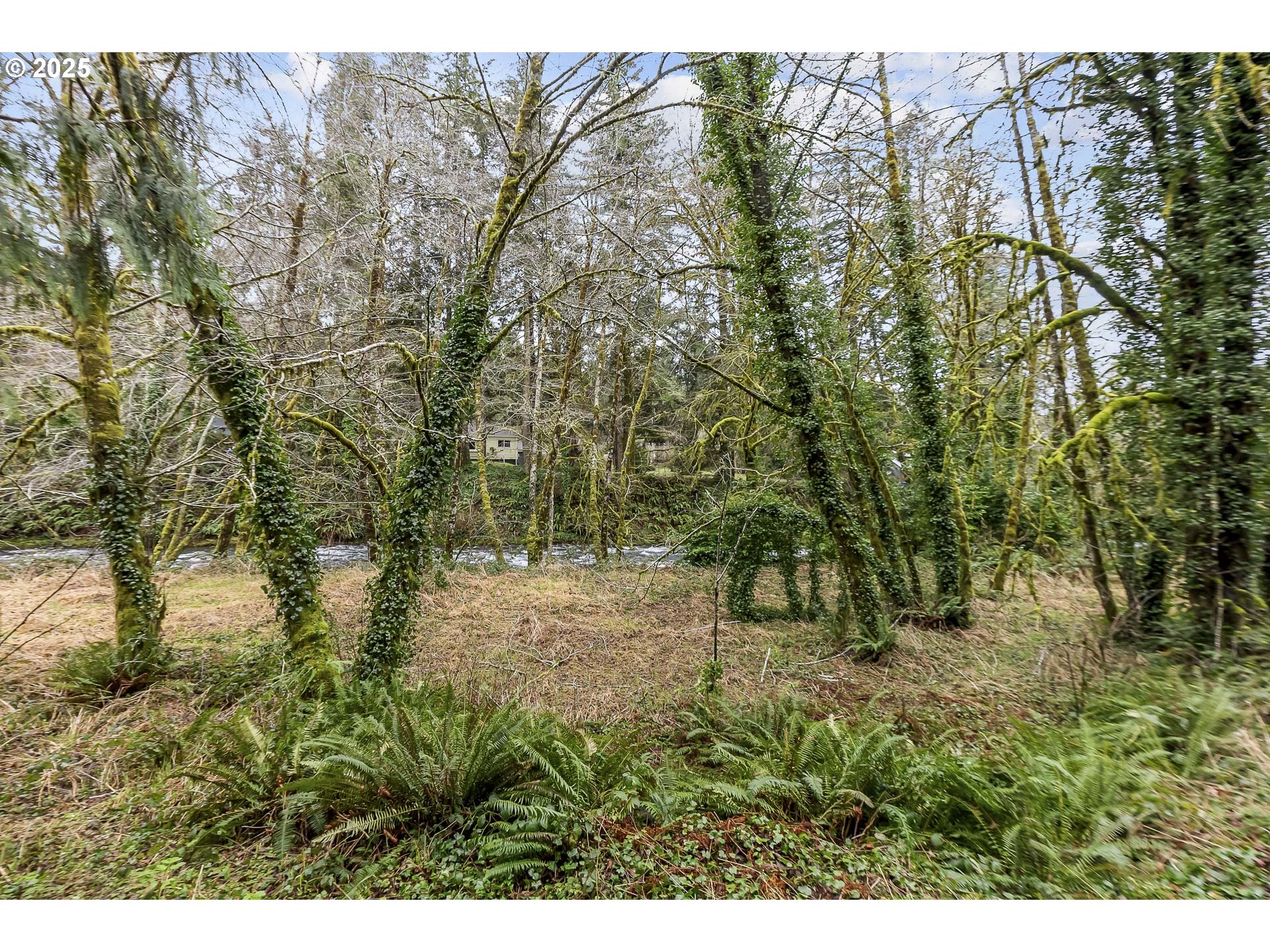 0 North Slick Rock Creek Road, Unit 400 Otis, OR 97368 - Photo 18 of 20