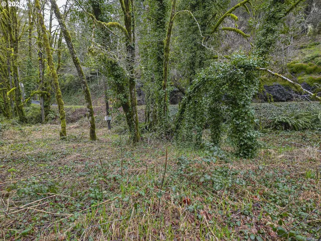 $39,900 | 0 North Slick Rock Creek Road, Unit 400, Otis, OR 97368