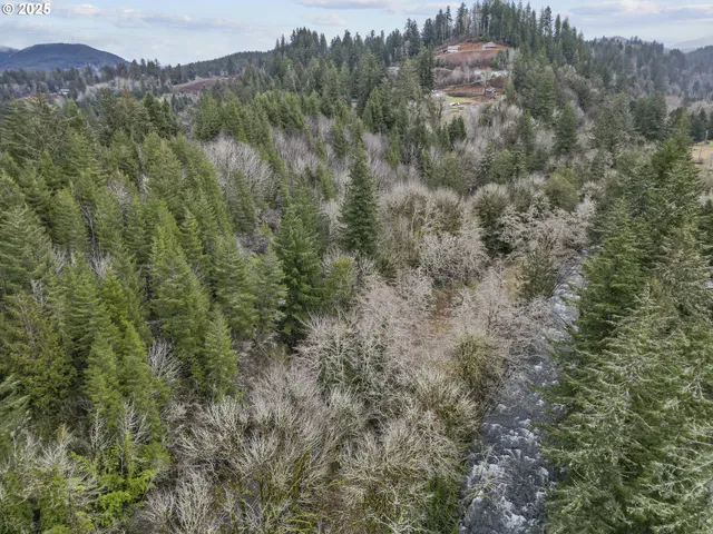 $39,900 | 0 North Slick Rock Creek Road, Unit 400, Otis, OR 97368