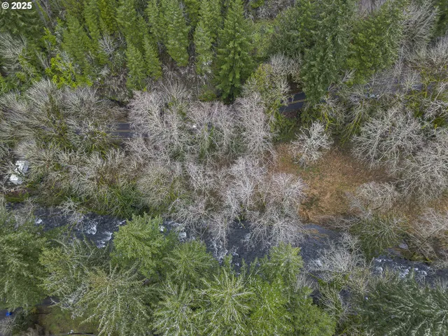 $39,900 | 0 North Slick Rock Creek Road, Unit 400, Otis, OR 97368