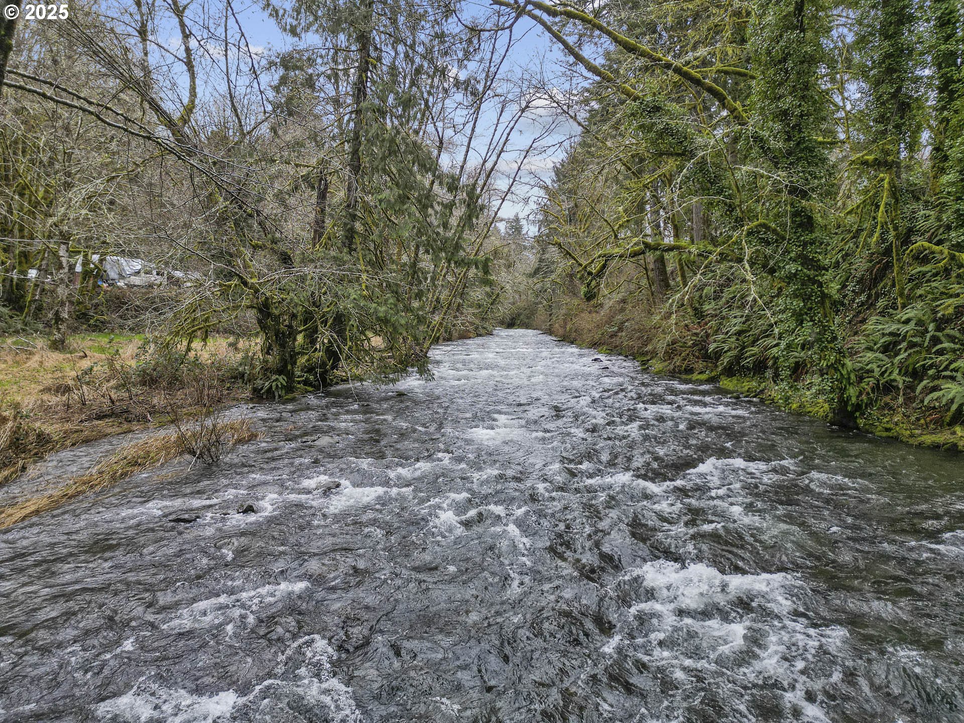 0 North Slick Rock Creek Road, Unit 400 Otis, OR 97368 - Photo 7 of 20