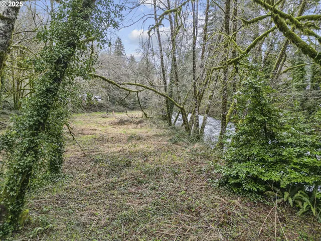 $39,900 | 0 North Slick Rock Creek Road, Unit 400, Otis, OR 97368