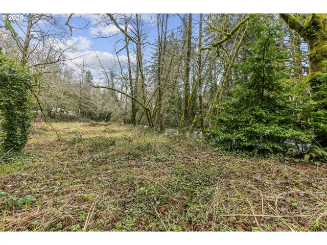 $39,900 | 0 North Slick Rock Creek Road, Unit 400, Otis, OR 97368