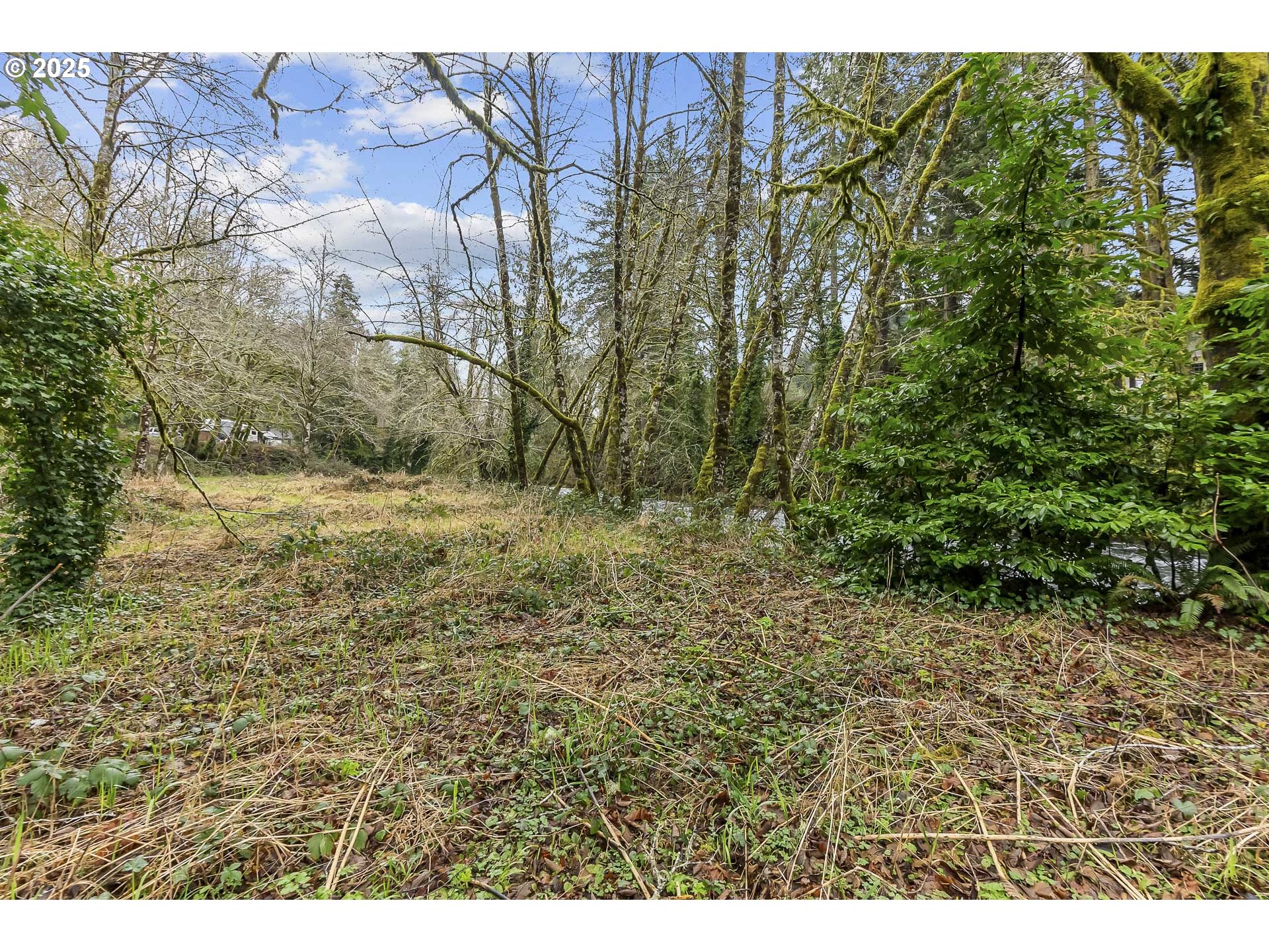 0 North Slick Rock Creek Road, Unit 400 Otis, OR 97368 - Photo 9 of 20