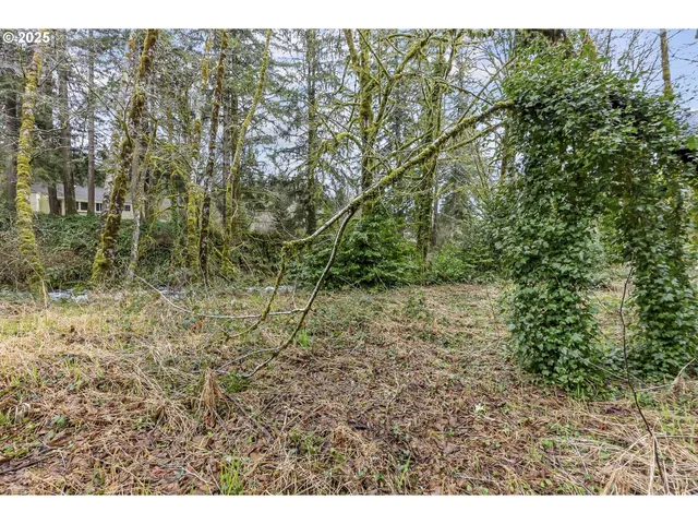 $39,900 | 0 North Slick Rock Creek Road, Unit 400, Otis, OR 97368