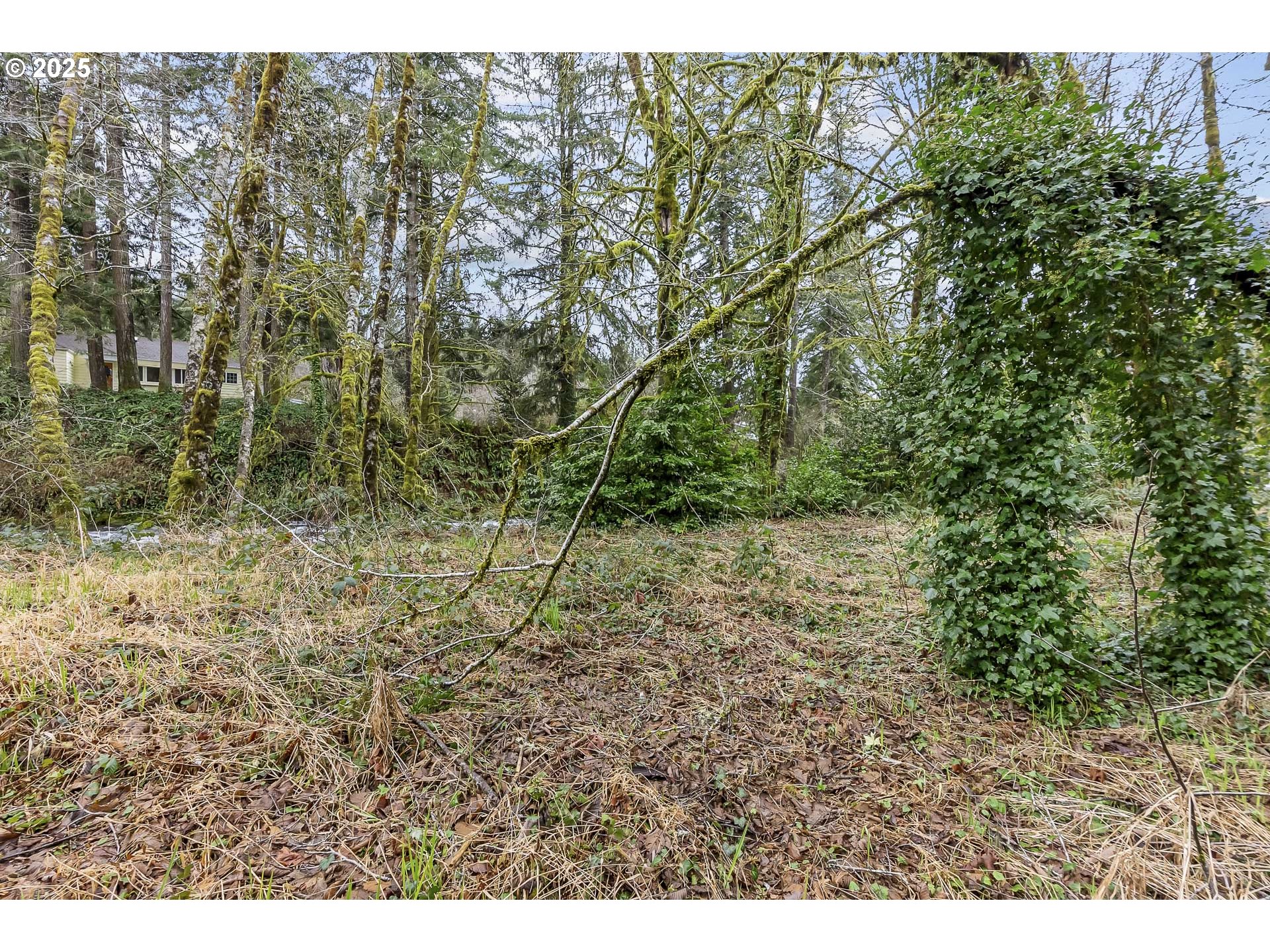 0 North Slick Rock Creek Road, Unit 400 Otis, OR 97368 - Photo 10 of 20